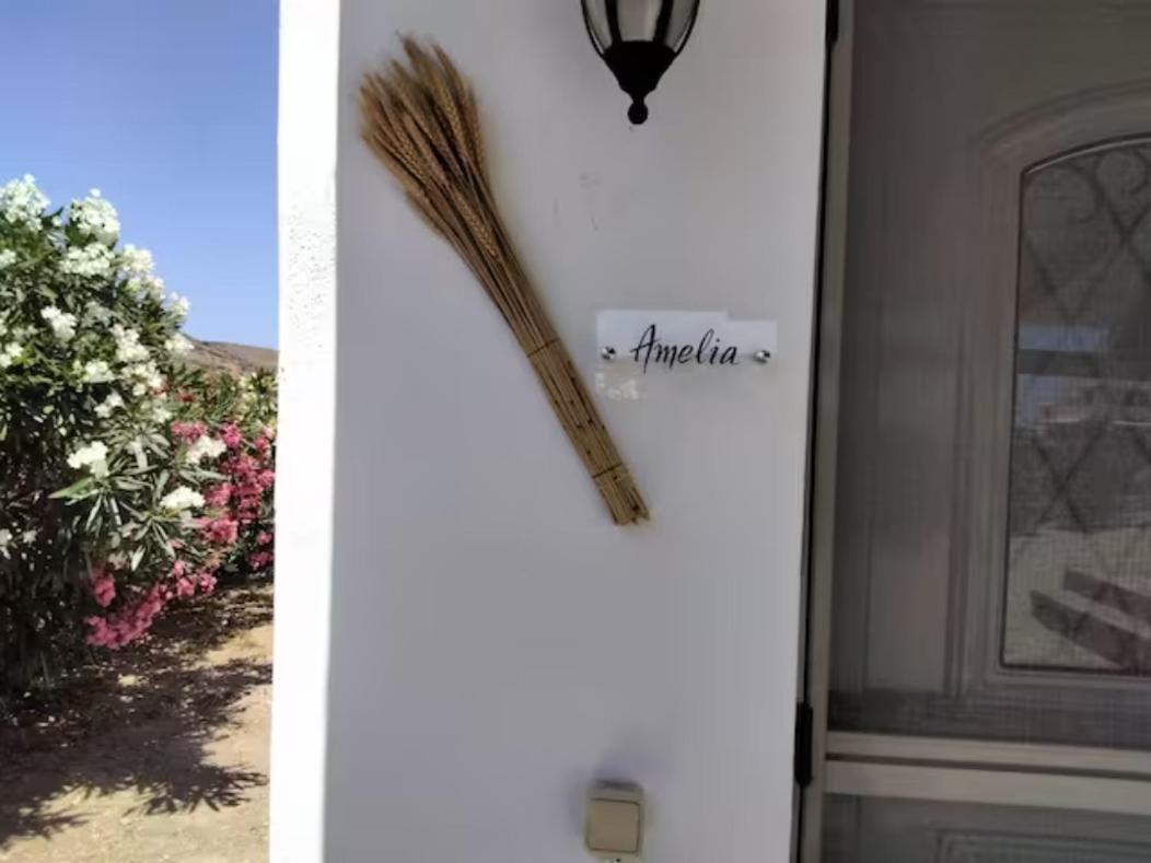 Erifili House Apartment